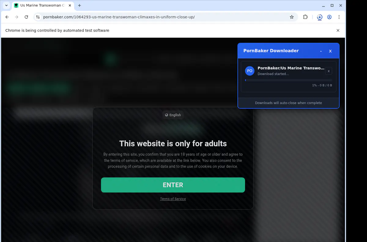 Pornbaker Video Downloader screenshot 2