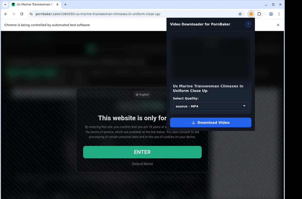 Pornbaker Video Downloader screenshot 3