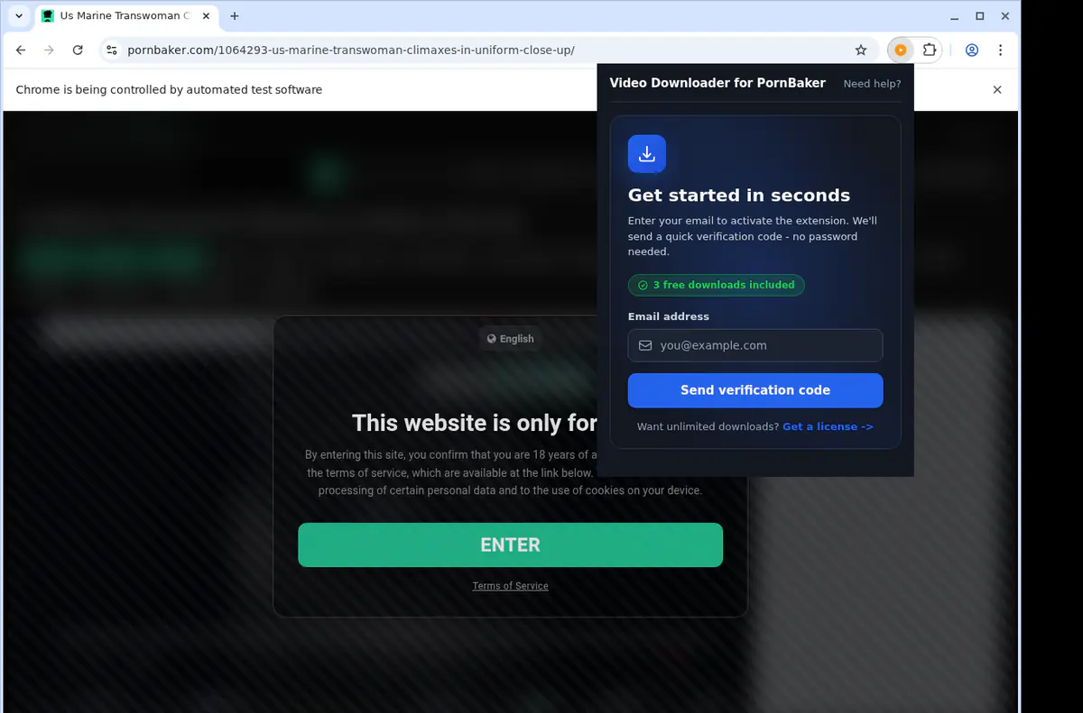 Pornbaker Video Downloader screenshot 5